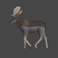 Brown Moose Game Movie Character 3D Model with Large Antlers