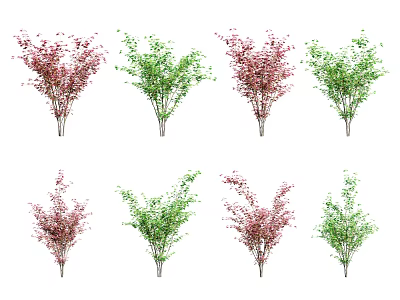 Multiple Decorative Arbor Trees With Red And Green Leaves In Landscape Arrangement 3d model