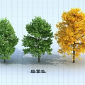 Three Arbor Trees with Green and Yellow Foliage in Landscape