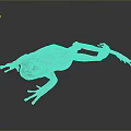 Brown Frog With Orange Limbs And Large Eyes On Dark Background
