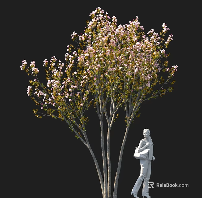Tall Pink Flowering Tree With Green Leaves And White Statue Holding Item Against Black Background 3d model 
