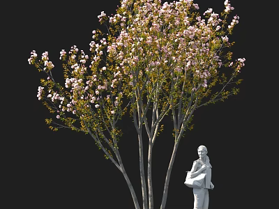 Tall Pink Flowering Tree With Green Leaves And White Statue Holding Item Against Black Background 3d model