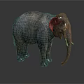 Adult Elephant With Rough Skin And White Tusks Standing On Grey Background