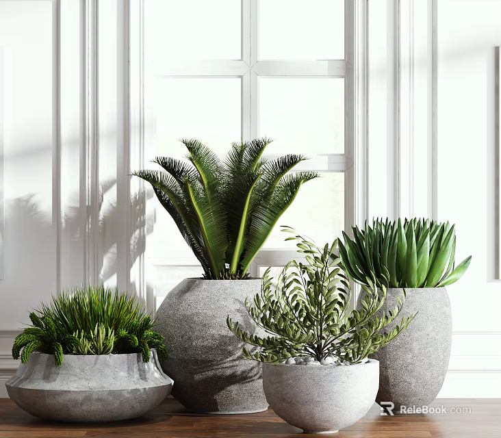 Indoor Potted Plants with Various Green Foliage in Gray Planters by Bright Window 3d model 