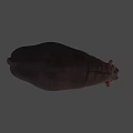Realistic Hippopotamus Figure Standing Still With Long Shadow On Gray Background