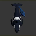 Playful Blue And White Orca Whale With Small Blue Baby Whale Floating Together