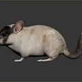 Mouse Wizard Mouse Warlock Cartoon Mouse Animation Mouse Animation Mouse Cartoon Character Cartoon Animal 3d model