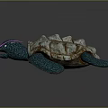 Turtle Cartoon Turtle Snapping Turtle Chickbill Turtle Reptile Cold Blooded Animal Reptile Class 3d model