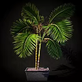Garden Ornament Two Trunk Green Plant with Large Feathery Leaves in Square Pot