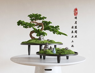 Indoor potted plant desktop bonsai 3d model