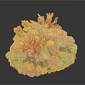Vibrant Coral Shaped Flowers with Red Orange Purple Blue Hues on Dark Background