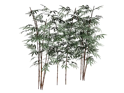 Tree Pit Landscaping with Lush Green Bamboo Plants in Garden Design 3d model