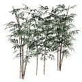 Tree Pit Landscaping with Lush Green Bamboo Plants in Garden Design