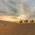 Ancient Caravan Camels Walking Across Desert Sand Dunes At Sunset Sky