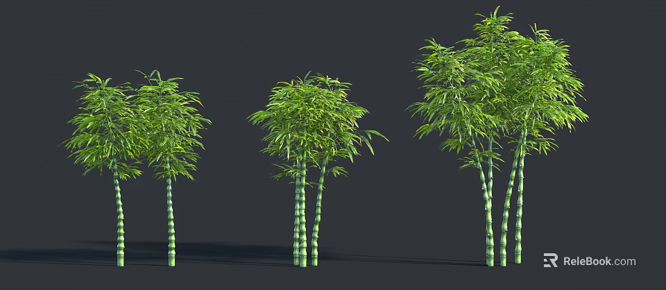 Green Bamboo Plants With Lush Leaves And Tall Stems In Clusters 3d model 