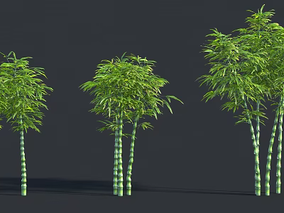 Green Bamboo Plants With Lush Leaves And Tall Stems In Clusters 3d model