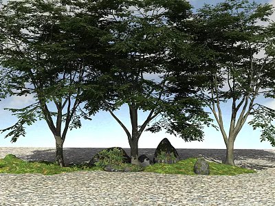 Lush Green Arbor Trees With Thick Trunks And Green Leaves On Pebbled Ground 3d model