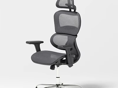 Ergonomic Mesh Office Chair with Adjustable Headrest and Armrests on Chrome Metal Base 3d model