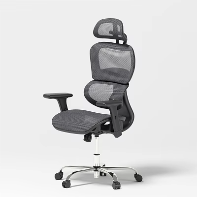 Ergonomic Mesh Office Chair with Adjustable Headrest and Armrests on Chrome Metal Base 3d model