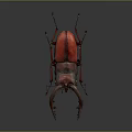 Red Beetle With Large Curved Mandibles On Dark Background Detailed View
