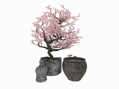 New Chinese Bonsai Cherry Blossom 3d model New Chinese Bonsai Cherry Blossom 3d model