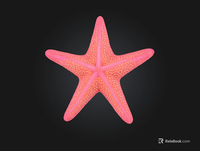 Pink Starfish A Colorful Marine Creature with Five Arms and White Spots Habitat and Appearance 3d model 