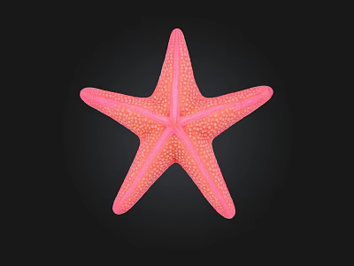 Pink Starfish A Colorful Marine Creature with Five Arms and White Spots Habitat and Appearance 3d model