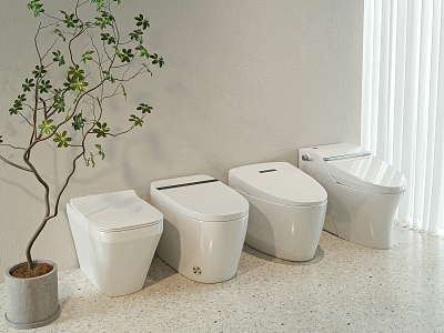 Modern toilet model