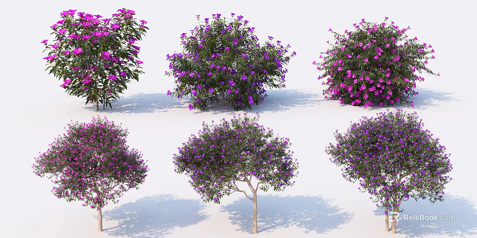 Beautiful Arbor Trees With Purple Flowers Green Leaves And Various Forms 3d model 
