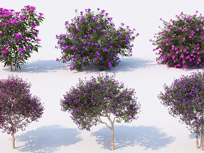 Beautiful Arbor Trees With Purple Flowers Green Leaves And Various Forms 3d model