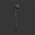 Single Isolated Dried Brown Flower With Slender Stem On White Background 3d model
