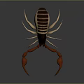 Realistic Scorpion With Large Pincers Segmented Body And Reflective Surface 3d model