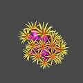 Vibrant Yellow And Pink Radial Flower Like Structure On Gray Background