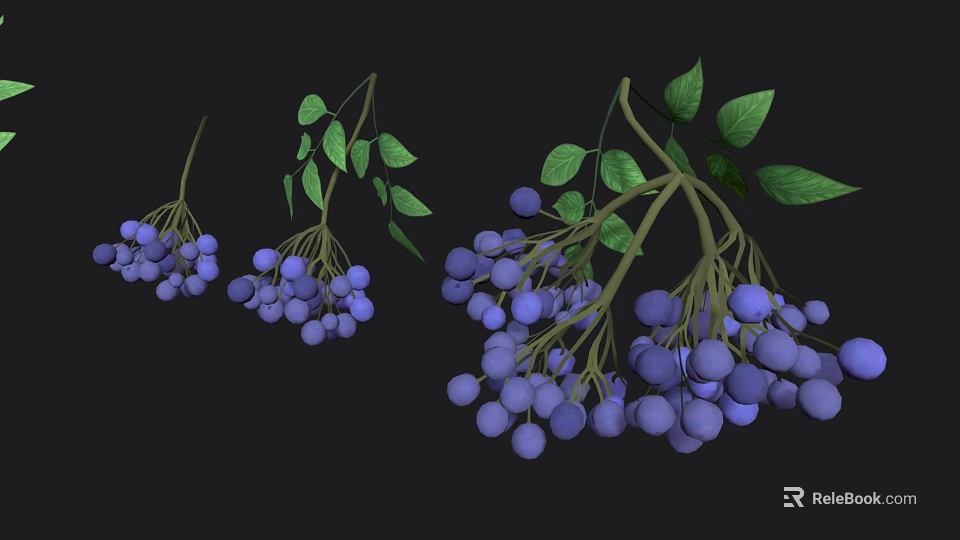 Cartoon Scene Featuring Blue Berries and Green Leaves on Black Background 3d model 