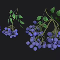 Cartoon Scene Featuring Blue Berries and Green Leaves on Black Background