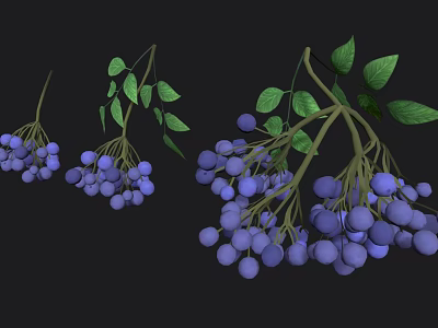 Cartoon Scene Featuring Blue Berries and Green Leaves on Black Background 3d model