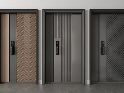 Modern Security Doors With Wood Grain Panels Vertical Stripes And Diagonal Textures 3d model