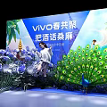 Vivo Spring Gathering Photo Check In Spot With Peacock Flowers And Palm Trees