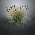 Fluffy Light Colored Plant with Red Slender Spikes and Green Base