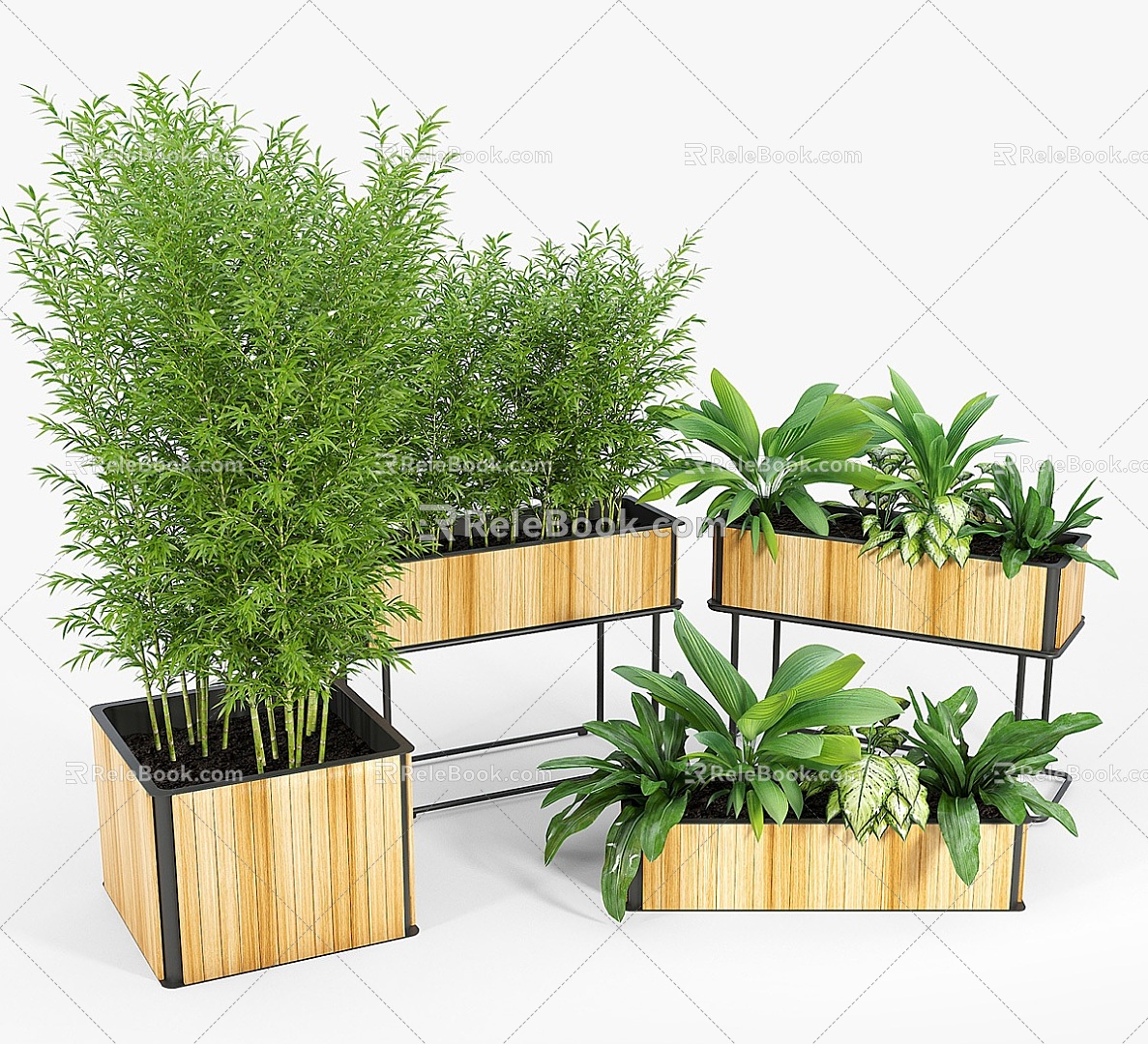 Plant Potted Plant Combination Plant Flower Pot Flower Tank Potted Green Plant Bonsai Wooden Box Box 3d model