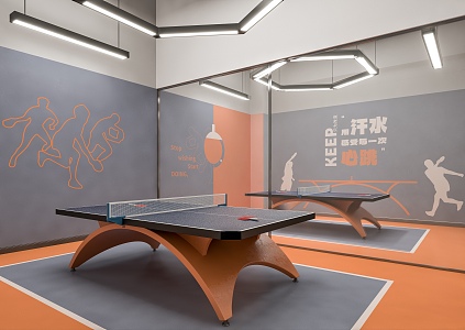 Table Tennis Room 3d model