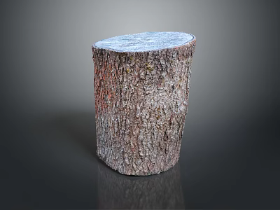 Natural Wood Stump Decorative Piece With Rough Bark Texture And Smooth Top 3d model