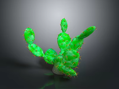 Natural Green Cactus With Branching Stems Yellow Spines And Dark Background Shadow 3d model