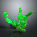 Natural Green Cactus With Branching Stems Yellow Spines And Dark Background Shadow