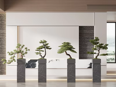 New Chinese Bonsai Pine Plant 3d model