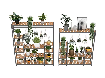 Creative Plant Combinations On Multi Tiered Shelves With Various Potted And Hanging Plants 3d model