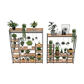 Creative Plant Combinations On Multi Tiered Shelves With Various Potted And Hanging Plants