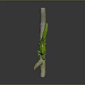 Green Caterpillar Lying On Natural Branch With White Accents And Details