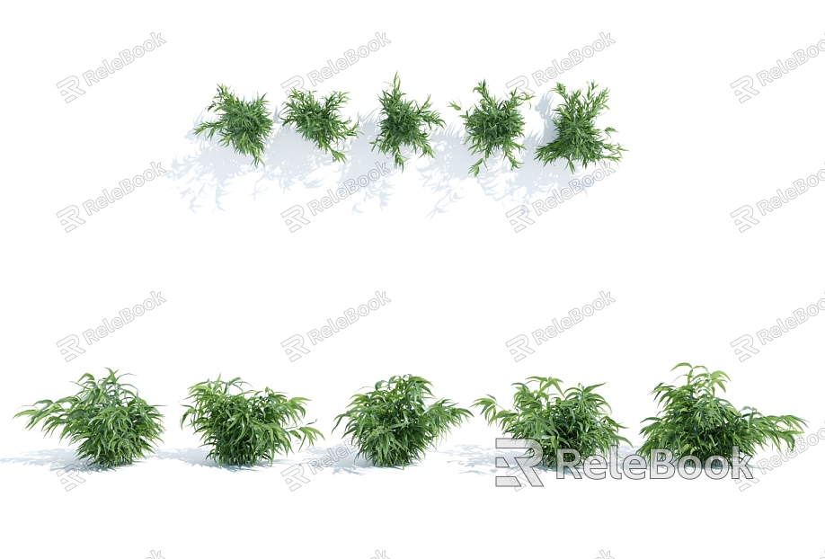 Modern plants, shrubs, flowers and plants model