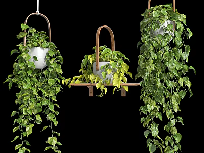 Hanging Basket Plants with Lush Trailing Green Leaves and Dense Foliage 3d model